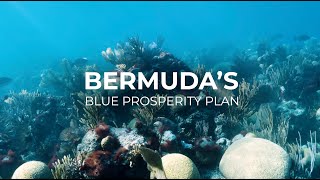 Bermudas Blue Prosperity Plan [upl. by Ttayh515]