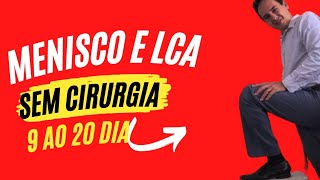 Recuperação de LCA e Menisco passoapasso  parte 2 [upl. by Atlee]