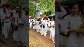 Sri Maha Bodhiya anuradapura budista temple srilanka [upl. by Nomis]