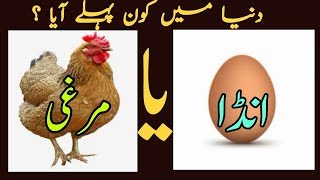 dunya me murgi pahle aayi ya anda who came first hen and egg [upl. by Grearson]