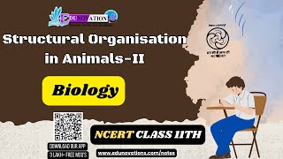 Structural Organsiation In Animals  NCERT Class 11 BIOLOGY  CBSE  NEET [upl. by Phineas]