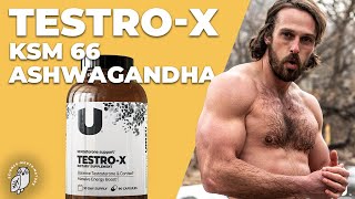 Top Benefits of KSM66 Ashwagandha as a Testosterone Booster Supplement Herb [upl. by Dj413]