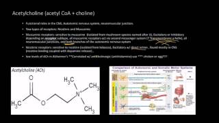 Neurotransmitters Acetylcholine  Receptors [upl. by Dwayne]