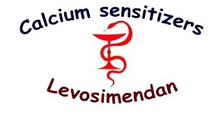 Сalcium sensitizers Levosimendan Mechanism of action side effects indications dosage [upl. by Gemperle]