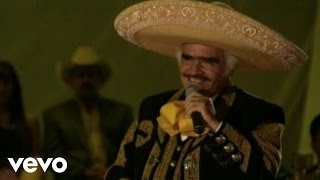 Vicente Fernández  Por un Amor En Vivo [upl. by Llenor936]