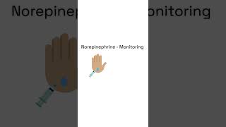 Norepinephrine  Pharmacology Lesson  short SimplePharm 🧪 pharmacology nursingschool [upl. by Aramit]