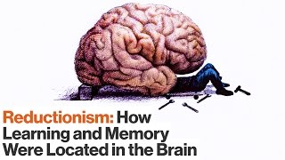 How Reductionism Uncovered Secrets of Longterm and Shortterm Memory  Eric Kandel  Big Think [upl. by Llibyc]