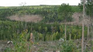 Ingemars Vår gamle grend Finnskogen [upl. by Ludeman28]