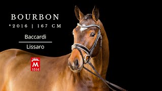 Bourbon 2016 v Baccardi  Lissaro [upl. by Puto]