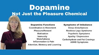 Demystifying Neurotransmitters Serotonin Dopamine and Beyond [upl. by Archibaldo]