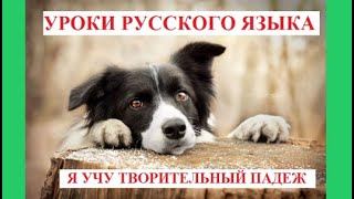 Уроки русского языка для иностранцев Я учу творительный падеж Russian lessons for foreigners [upl. by Sybille]