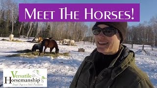 Meet The Horses 2018  Versatile Horsemanship [upl. by Rossie202]