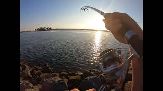 NONSTOP ACTION Pole Almost Pulled Into The Water  Fishing at Mission Bay [upl. by Ettevroc550]