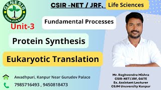 Eukaryotic Translation Elongation amp Termination  Translational Inhibitors  Lecture37 [upl. by Hartill]