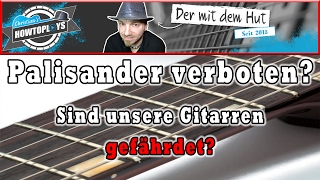 Palisanderholz jetzt verboten Sind unsere Gitarren gefährdet Das müsst ihr wissenbeachten [upl. by Landon819]