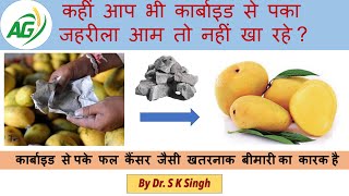 Ripening of Mango by Calcium Carbide Masala is dangerous amp deadly [upl. by Yelik]