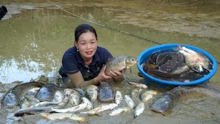 Harvest Fish from longterm ponds to sell at the market Gardening to grow Cu Kieu  Trieu Mai Huong [upl. by Nanis]