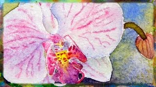 How to Paint the Beautiful Phalaenopsis Orchid Miniature Watercolor Painting [upl. by Gnat156]