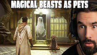 Catching Magical Beasts And Exploring Tombs In Hogwarts Legacy [upl. by Brenza678]