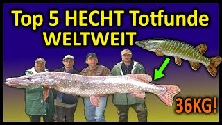 Top 5 Rekord HECHTTOTFUNDE WELTWEIT  169 Meter Hecht [upl. by Delfine]