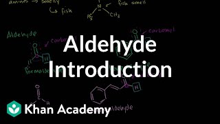 Aldehyde introduction  Aldehydes and ketones  Organic chemistry  Khan Academy [upl. by Constantia82]