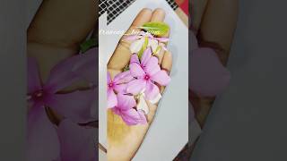 Beautiful flower bookmark 🔖 bookmark tag craft diy handmade creativeartists [upl. by Eelyab75]