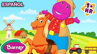 Barney el MEJOR VAQUERO  Animales para Niños  Barney  9 Story Kids en Español [upl. by Nallid]