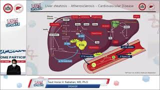 Fatty Liver Merely Steatosis of Liver [upl. by Odlaniger]