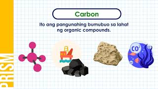 Chemical Cycle  Biogeochemical Cycles  Biology  Class 9  APampTS [upl. by Negeam267]