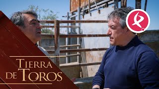 Victorino y el quotno indultoquot de un gran toro  Tierra de Toros [upl. by Araid]