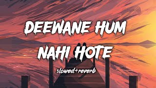 Deewane Hum Nahi Hote  Lofi Song Slowed and Reverb  Lastest Hindi Song [upl. by Ariamoy]