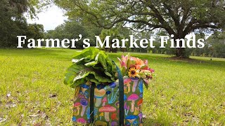 Farmers Market Finds [upl. by Ragouzis]