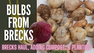 🌱🌱🌱 Plant Haul  Bulbs From Brecks  Planting Spring Bulbs in the Winter  Planting Spring Bulbs [upl. by Yxor]