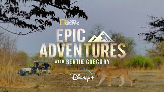 Epic Adventures with Bertie Gregory [upl. by Korenblat868]