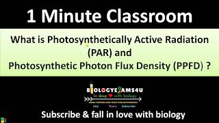 Photosynthetically Active Radiation vs Photosynthetic Photon Flux Density  PAR vs PPFD [upl. by Lavinie]