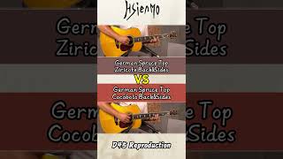 quotBeat Itquot Picking Pattern Comparison D45 German Spruce  Cocobolo vs Ziricote [upl. by Lashoh]