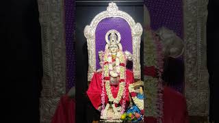 Saraswathi temple beside sai Baba temple Btw godess attire dssara2024 [upl. by Anahahs57]