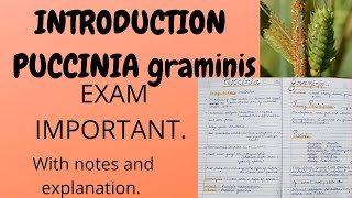 INTRODUCTIONPUCCINIA GRAMINISFull explanation with notes bscbotany [upl. by Jc564]