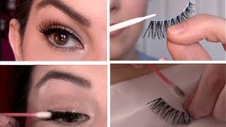 False Eyelashes 101 Select Apply Remove Clean [upl. by Atirres]