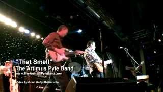 Artimus Pyle Band  quotThat Smellquot [upl. by Dilks952]