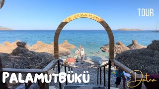 Palamutbükü Sahil Gezisi  Walking Tour Summer In Datça  Turkey Holiday Vlog [upl. by Johnsten]