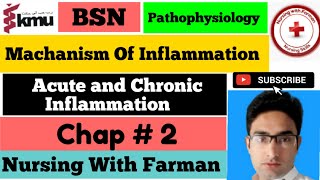 Mechanism Of Inflammation in UrduHindi  PathophysiologyI Unit 2  Acute and Chronic Inflammation [upl. by Gnuj366]