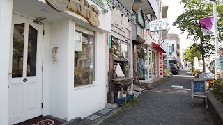 玉川学園の街並み 4 東京都町田市 Tokyo cityscape [upl. by Zandt]