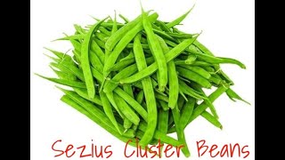 ग्वार की फलियाँ Guar ki Faliya Sezius Green Beans [upl. by Satterlee]