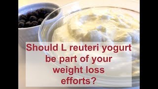 Should L reuteri yogurt be part of your weight loss efforts [upl. by Court]