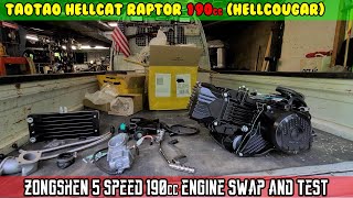 E12 Zongshen 5 speed 190cc engine swap  test ride HELLCOUGAR TaoTao Hellcat Raptor 190cc [upl. by Remo39]