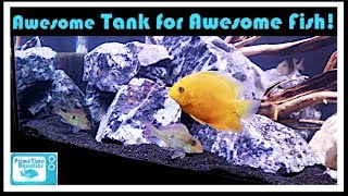 Setting Up a 125 Gallon Aquarium for Geophagus winemilleri and Severums [upl. by Ansilma340]