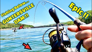 A Deadly FISHING BAIT that CATCHES FISH on the TENNESSEE RIVER [upl. by Tomaso708]