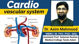 Cardio  Vascular System Made Easy  Hindi  Urdu [upl. by Akeret]