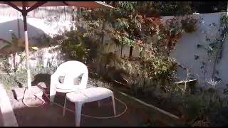 Casa indipendente con giardino in affitto annuale a Hammamet 440€ mese [upl. by Zeculon60]